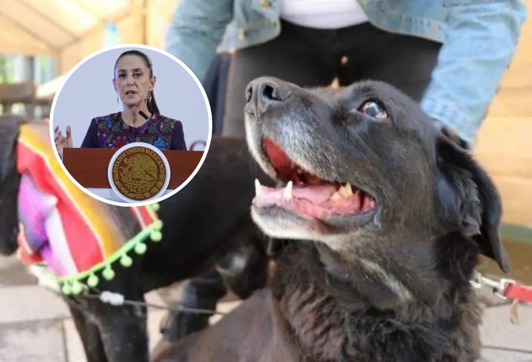 Claudia Sheinbaum destaca ley de protección animal