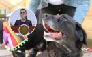 Claudia Sheinbaum destaca ley de protección animal