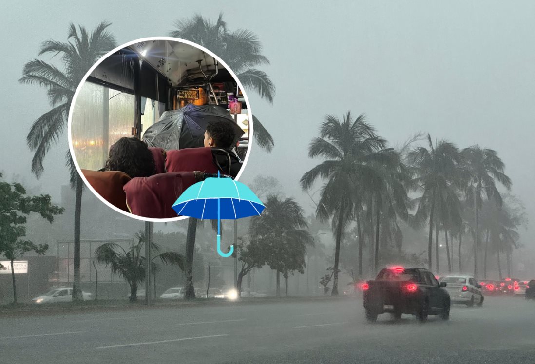 Captan en FOTO a pasajero usando paraguas dentro de camión urbano en Veracruz por filtraciones