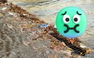 Estos son los riesgos de salud que representan las inundaciones con aguas negras