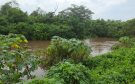 Vigilan aumento del río Jamapa; aún está por debajo de su nivel máximo: PC