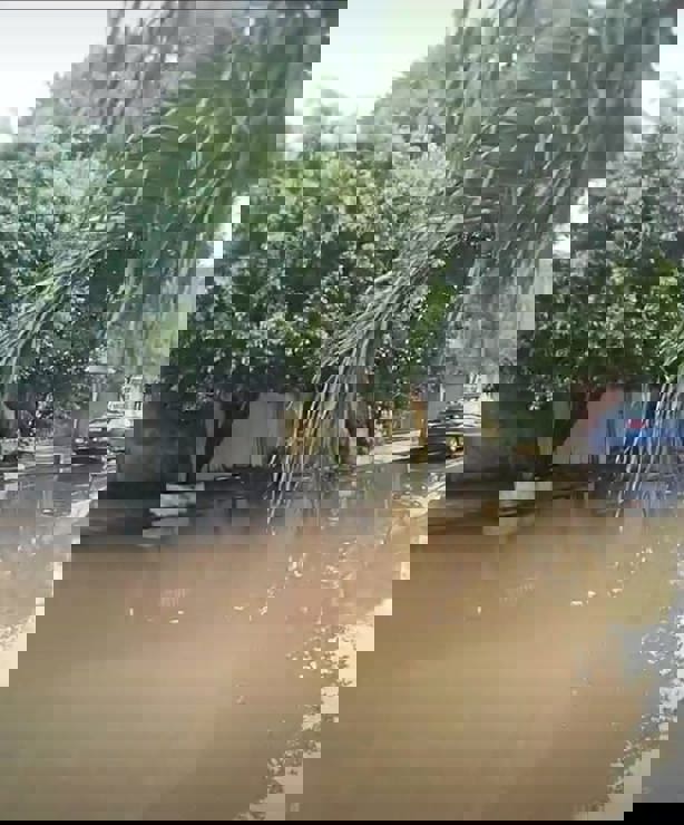 Alertan por fuga de aguas negras en la colonia 21 de Abril en Veracruz