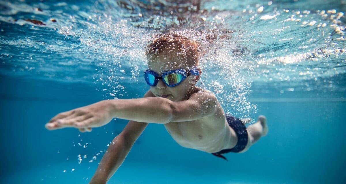 Los cursos de verano