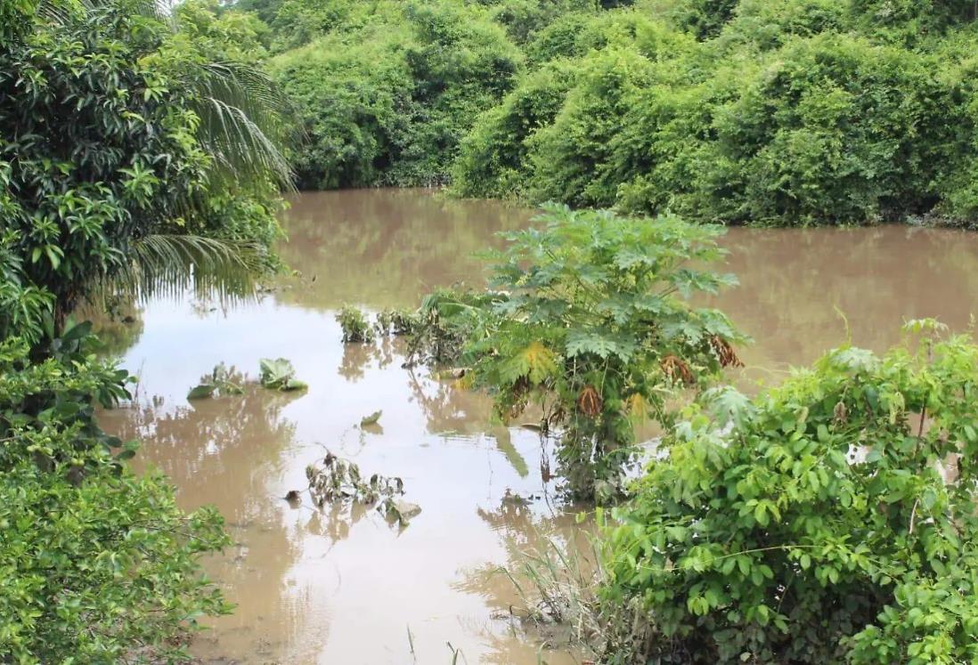 Alerta Conagua por desbordamiento del río Jamapa a la altura de El Tejar