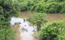 Alerta Conagua por desbordamiento del río Jamapa a la altura de El Tejar