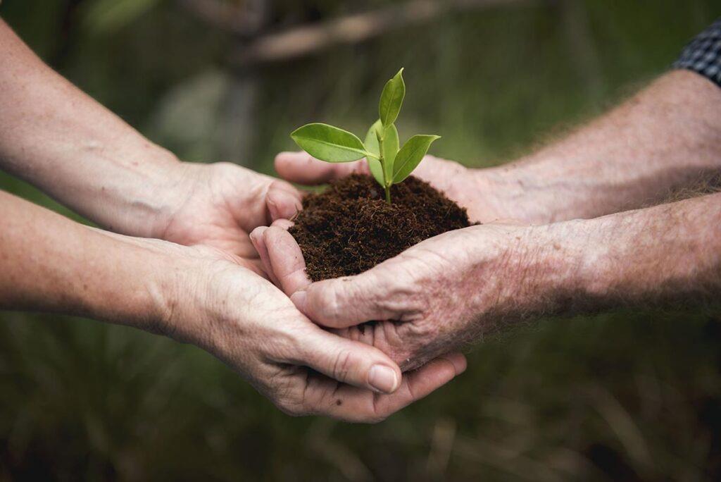 Reconstruyendo el desarrollo nacional sustentable