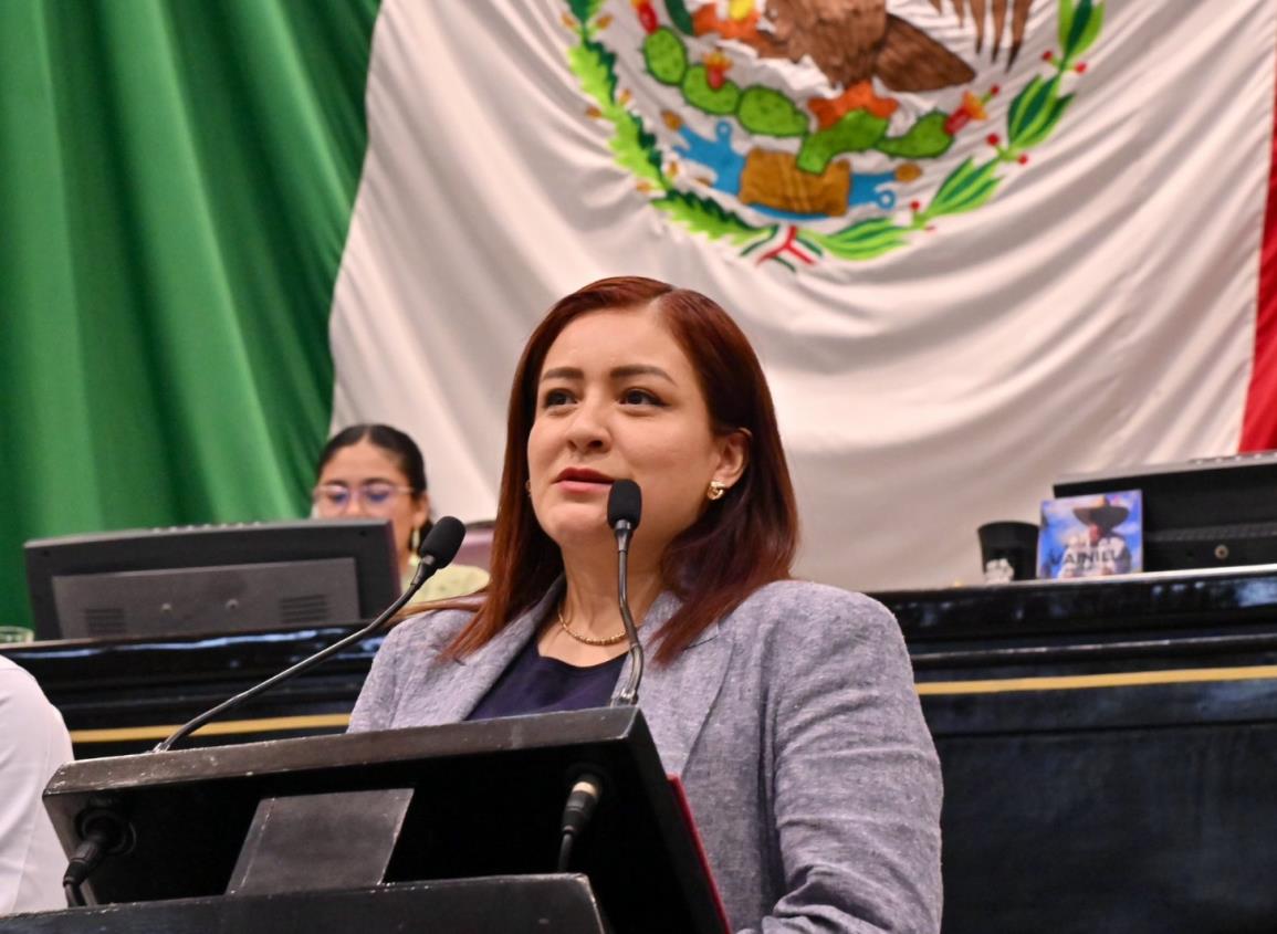 Veracruz debe ser ejemplo en materia de Transparencia: Mayra Amador