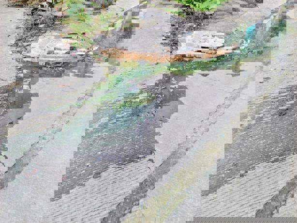 Alertan por aguas negras en Lagos de Puente Moreno