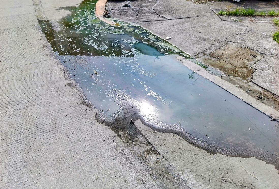 Alertan por aguas negras en Lagos de Puente Moreno