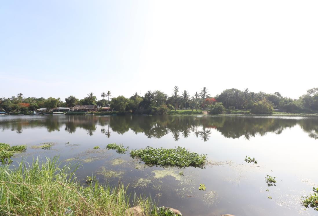 Especialistas denuncian contaminación en río La Antigua, Veracruz