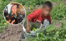 Fertilizantes aumentan el riesgo en niños del campo de contraer cáncer: AMANC Veracruz