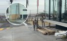 Negocios del bulevar se blindan previo a desfiles del Carnaval de Veracruz 2025 | VIDEO