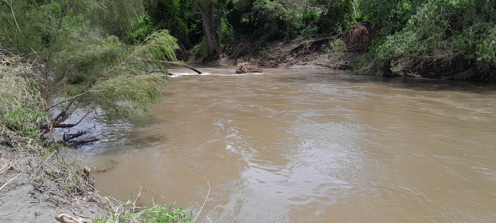 Sube el nivel del río Jamapa pero no hay riesgo de desbordamiento, asegura Protección Civil