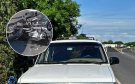 Joven motociclista lesionado tras ser arrollado en carretera Veracruz-Cardel